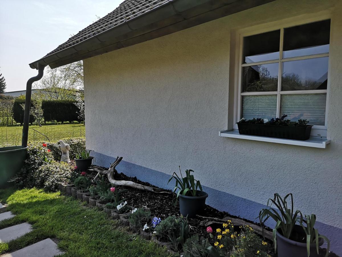 Boddenhus Auf Ruegen - Ferienwohnungen Und Pension Rappin Eksteriør bilde